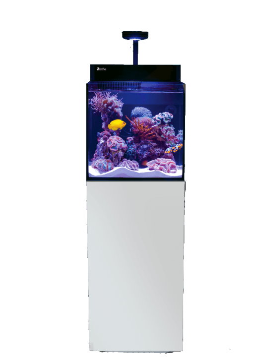 Red Sea MAX® NANO G2 CUBE - complete reef system (75L, white)