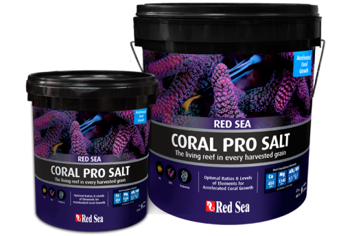 Red Sea Red Sea Coral Pro Salt, bucket (7Kg) 2