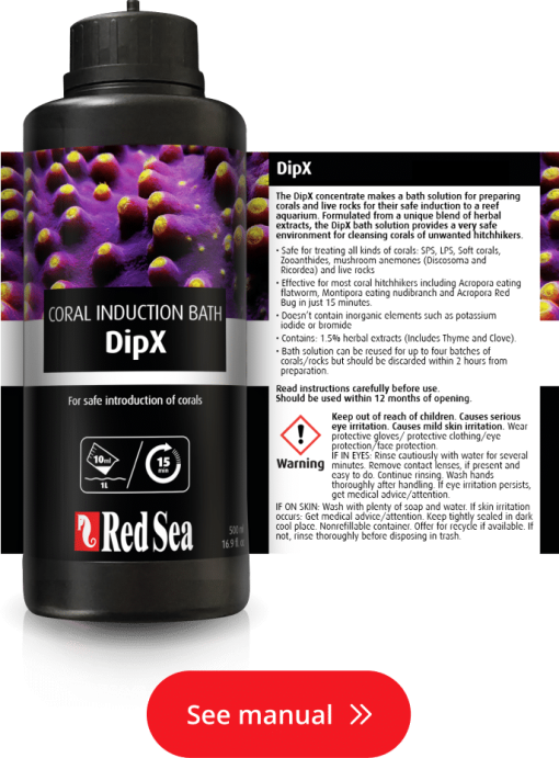 Red Sea DipX - effective dip for corals (250ml) - Image 3