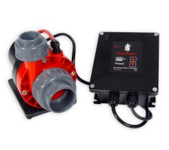 Royal Exclusiv Red Dragon 3 Speedy 80 Watt / 8,0m³ / plug connection