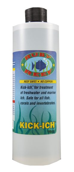 Ruby Reef Kick-ich  - treatment for elimination of ich, 480ml