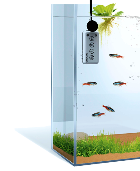 Seneye HOME V2 - aquarium monitoring system 4