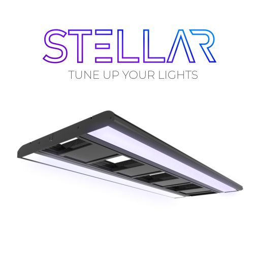 Giesemann Stellar LED - tropic irridium metallic    900