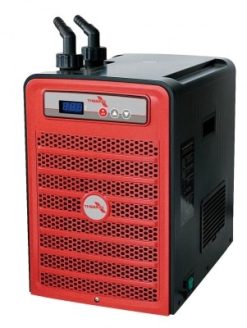 Theiling Polar 500