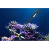 Maxspect Tweezers for coral 1