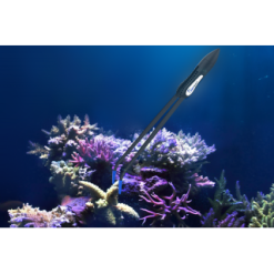 Maxspect Tweezers for coral
