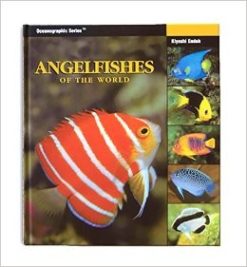 Two Little Fishies Angelfishes of the World
