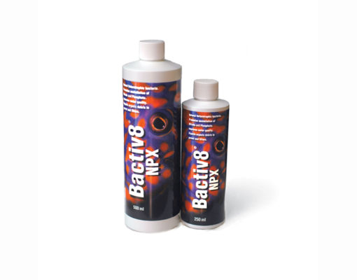 Two Little Fishies Bactiv8 NPX - rapid biological assimilation (500ml) 3