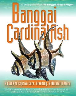 Two Little Fishies, Inc. Banggai Cardinalfish