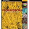 Two Little Fishies Invertebrates: A quick Reference Guide 8