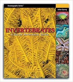Two Little Fishies Invertebrates: A quick Reference Guide