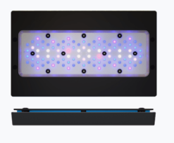 Ecotech Marine Radion XR30 G6 Blue