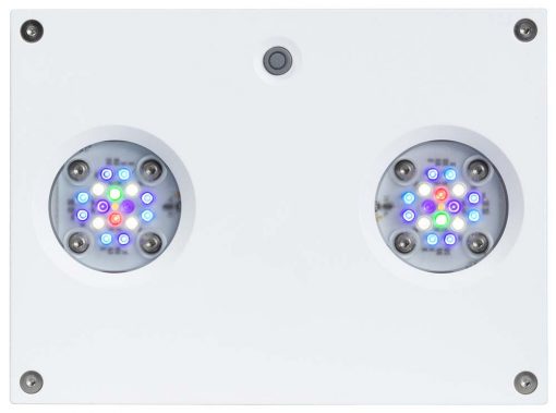 Aqua Illumination AI Hydra 32HD - 32-LED aquarium lighting, white (~90W) 3