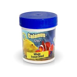 BCUK Aquatics Calanus Freeze Dried, 20g