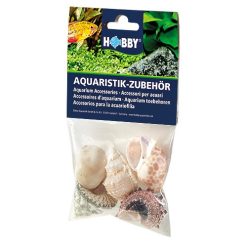 HOBBY Sea Shells Set L 5 pcs.