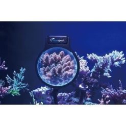 Maxspect Maxspect Pastel Reef Magnifier L