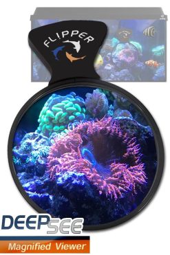 Flipper DeepSee viewer
