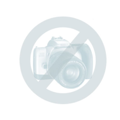 SICCE XStream 3500 Strömungspumpe