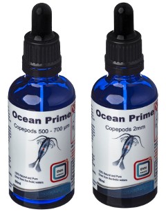 DVH Aquatic Ocean Prime Liquid 2mm - 50ml