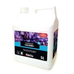 Red Sea Foundation A (Ca/Sr). (5L)