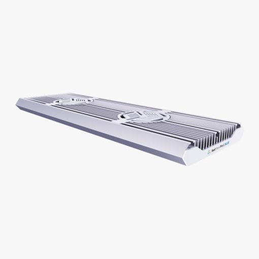 Reef Factory Reef flare Pro BLUE L (white)