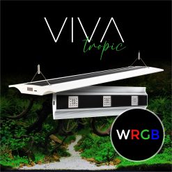 Giesemann VIVA - tropic pure white 4