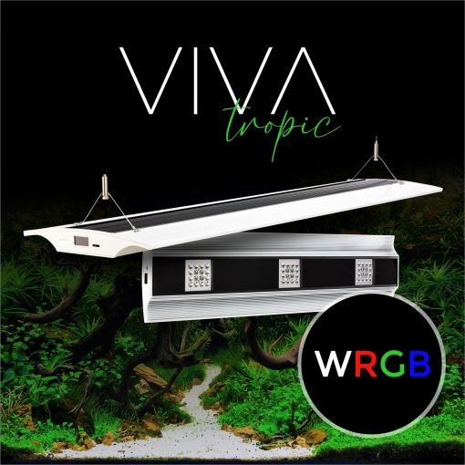 Giesemann VIVA - tropic pure white - Image 3